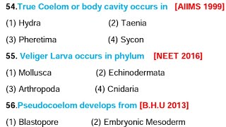 Animal classification  Animal kingdom mcq  NEET 2023 biology mcq [upl. by Rekoob]