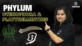 Phylum Ctenophora amp Platyhelminthes neet2024  Biology  Shraddha srivastava  Horizon Academy [upl. by Yenaffit]