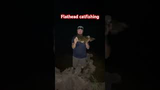 Flatheads invading the DC🤔 flatheadfishing fishingbait baitfishing bluegill potomacriver [upl. by Harol47]