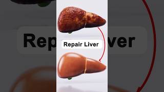 Best Food For Liver Repair P2 liverdetox liverhealth liverdamage shorts [upl. by Adan]