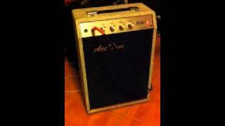 Acetone Elite Tube Amp [upl. by Annim]