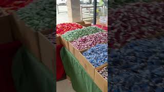 World’s largest candy store in Maryland State Fair [upl. by Herrera995]