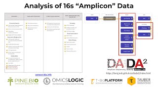 Analysis of 16s “Amplicon” Data using DADA2 Pipeline on TBioinfo Server [upl. by Aihseyk]