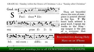 “Speciosus Forma Præ Filiis Hominum” • GRADUAL Sunday after Christmas [upl. by Oirobil966]