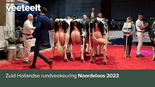 ZuidHollandse rundveekeuring Noordeloos 2023 [upl. by Rossen]