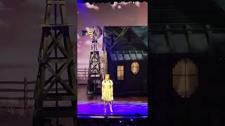 Dorothy Singing On the Farm in The Wizard of Oz On Icon of the Seas [upl. by Yllah]