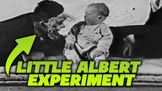 Little Albert Experiment A Dark Chapter in Psychology [upl. by Fitting]