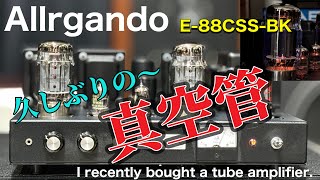 ■久々の真空管アンプに一喜一憂 I am happy and disappointed with the tube amp I bought this time E88CSS BK 真空管アンプ [upl. by Shalom]