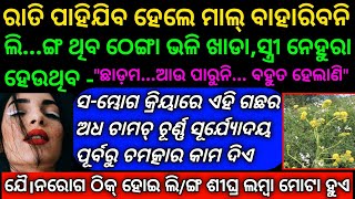 ଅବ୍ୟର୍ଥ ଭେଷଜ ପ୍ରତିକାର  Tantra Mantra Health Values of Hengu Plant  hingu hing tree health benefits [upl. by Lemmy]