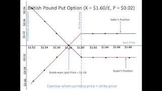 Currency Options StepbyStep [upl. by Nwadal384]