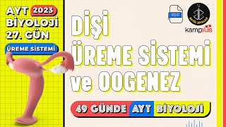 27 Dişi Üreme Sistemi ve Oogenez  Üreme Sistemi 11 Sınıf  2023 AYT Biyoloji Kampı 27 Gün [upl. by Outlaw726]