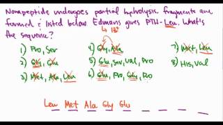 Amino Acids 29 Primary Protein Sequence Example Problem [upl. by Ardnyk755]