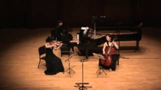 Anton Rubinstein Piano Trio in FMajor Op15 No1 1st movt [upl. by Novaj]