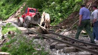 Eine umgestürzte Buche auf der Waldbahn im Wassertal [upl. by Kashden836]