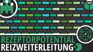 Rezeptorpotential einfach erklärt│Biologie Lernvideo│Learning Level Up [upl. by Sallie166]