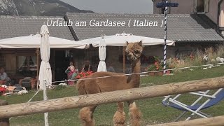 Urlaub am Gardasee  Italien Neufassung von tubehorst1 [upl. by Cadal]