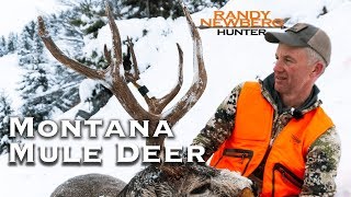 2018 Montana Mule Deer with Randy Newberg [upl. by Winston449]