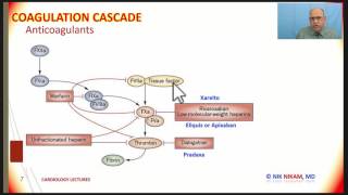 COAGULATION CASCADE AND ANTICOAGULANTS BY NIK NIKAM MD [upl. by Inele]