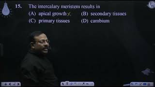 The intercalary meristem results in [upl. by Iram]