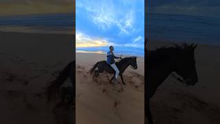 How to be the mane character on any beach👆Insta360 Insta360X4 horseriding nodronenoproblem fyp [upl. by Marysa341]