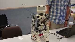 Poppy Robot at CogSci Quebec [upl. by Cimah737]