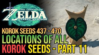 Zelda Tears of The Kingdom All Korok Seeds Part 11  Deep Akkala [upl. by Kampmeier]