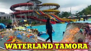 WATERLAND TAMORA [upl. by Yanffit]