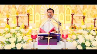 Holy Mass August 28 Monday I 530 AM I Malayalam I Syro Malabar I Fr Bineesh Augustine [upl. by Arrad577]