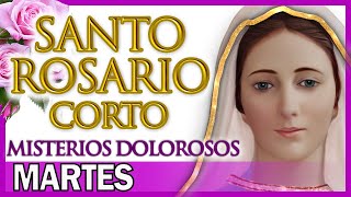 Santo Rosario Corto de Hoy Martes 🌸 Misterios Dolorosos 🌻 Rosario a Santa Virgen María [upl. by Maryl]