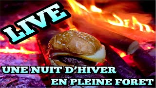 Live en hiver en pleine Nature Bivouac Bushcraft Barbecues [upl. by Sicular]