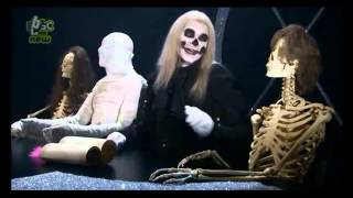 Horrible Histories  Stupid Deaths  Pythagoras [upl. by Xad]