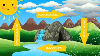 Il ciclo dellacqua Lacqua un bene indispensabile [upl. by Cristine]