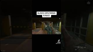 POV You Got Early Access To BLACK OPS 6 warzone callofduty mw3 blackops6 bo6 [upl. by Eedolem]