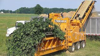 Amazing Dangerous Wood Chipper Machines Working Fastest Powerful Tree Shredder Machines Technology [upl. by Ahsinhoj63]