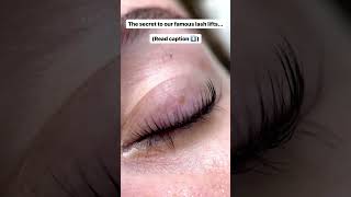 Lash Lifting Transformation 😍 [upl. by Avot826]