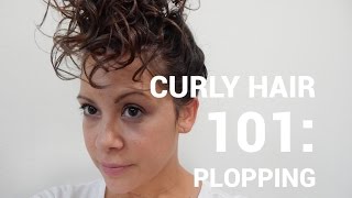 Curly Hair 101 Plopping amp Pineapples [upl. by Tonkin461]