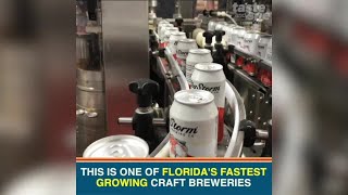 Big Storm Brewery in Clearwater offers delicious beer and burgers [upl. by Alf]