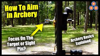 How to Aim Your Bow  Archery Sight Picture  Archery Basics Explained [upl. by Anyrb]