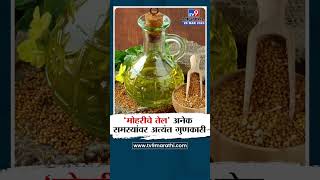 Mustard oil  मोहरीचे तेल आरोग्य त्वचा आणि केसांसाठी अत्यंत फायदेशीर TV9D [upl. by Acus]