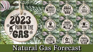 December 19 Natural Gas Analysis and Forecast [upl. by Allerim677]