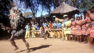 Danza tribal africana Malinke Singers ethnic african dance [upl. by Hgielyak701]