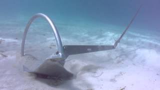 Mantus Anchor Underwater Video [upl. by Stepha481]