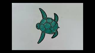 Stop and Motion  El Pez y la Tortuga [upl. by Ahsart]