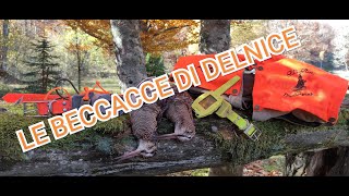 CACCIA ALLA BECCACCIA  Le Beccacce di Delnice  Croazia  Woodcock Hunting 🦅🐶 [upl. by Ruelu]