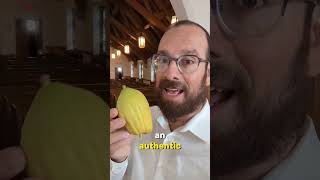 Its an honor to buy the most beautiful esrog for the Sukkot holiday etrog lulov [upl. by Seagraves480]