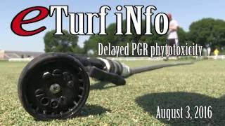 eTurf iNfo Delayed PGR Phytotoxicity  August 3 2016 [upl. by Julius800]