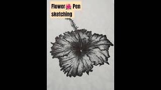 🌺 pen sketching tutorial beginner art shortsviral [upl. by Aicil]