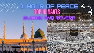 Top 20  SLOWED AND REVERB  NAATS 1 Hour of Peace  slowedandreverb naat [upl. by Glaser]