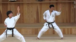 Okamotosensei demonstrating kata Empi [upl. by Bamford]