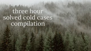 3 hour case compilation  26 cold cases solved after decades [upl. by Nosittam]